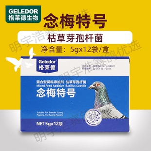 格莱德念梅特号 赛鸽信鸽种鸽调理注意霉菌和念珠菌