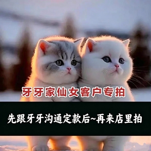 补邮 新客zhuan拍哦  包包/高定首饰跟牙牙沟通敲定后再来找客服