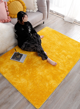 定制金黄色客厅地毯地垫入户门门店加厚卧室厨房卫浴门口吸水脚垫