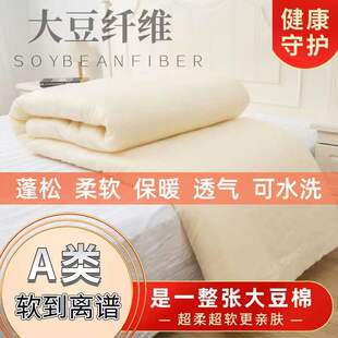 A类大豆纤维棉被芯填充棉丝棉做被褥家用春夏秋冬填充物无荧光