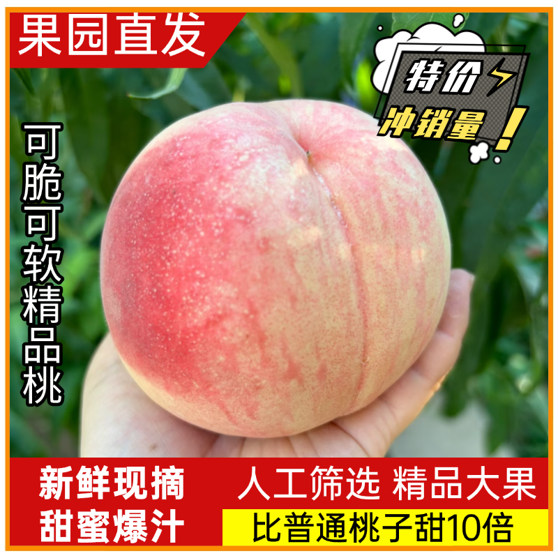 新鲜露天水蜜桃5斤桃子当季现摘水果冬桃软毛桃子脆甜水密桃包邮