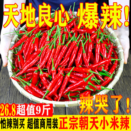 新鲜特辣小米椒朝天椒批发