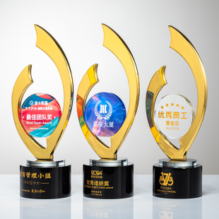 金属奖杯定制年会颁奖团队比赛优秀员工评比佳新人创意水晶刻字