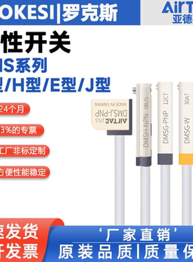 亚德客磁性开关感应器DMSG/DMSJ/DMSH/DMSE-2W/020/030/050传感器
