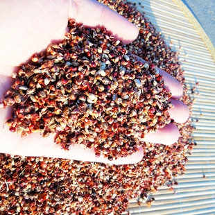 红高粱壳皮荞麦壳谷壳小米壳秕谷瘪谷子黍子枕头套枕芯皮填充物