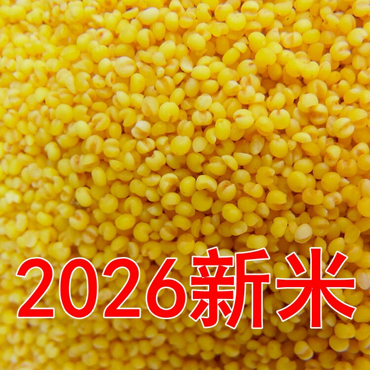 【500g*5袋】2026年新黄小米农家小米小黄米宝宝孕妇月子米粗杂粮
