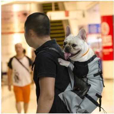 Carrier Bag For Dogs Pet Outdoor Dog Backpack Hiking Cycling