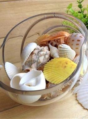 100g/bag Mixed Sea Beach Shells Seashells Fish Tank