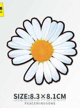 权志龙GD小雏菊行李箱贴纸旅行箱拉杆箱防水潮牌贴画无痕白胶定制