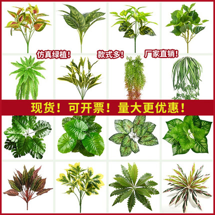 仿真植物墙绿植小型假花摆设造景塑料装饰花仿生绿萝波斯人造草坪