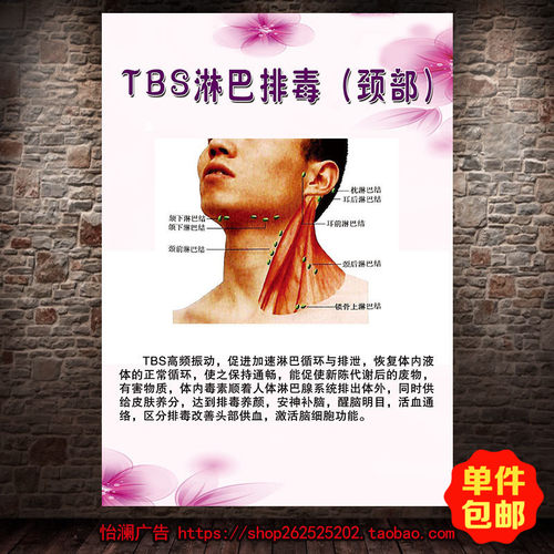 中医养生TBS淋巴排毒海报 美容院养生馆装饰宣传画墙贴画249