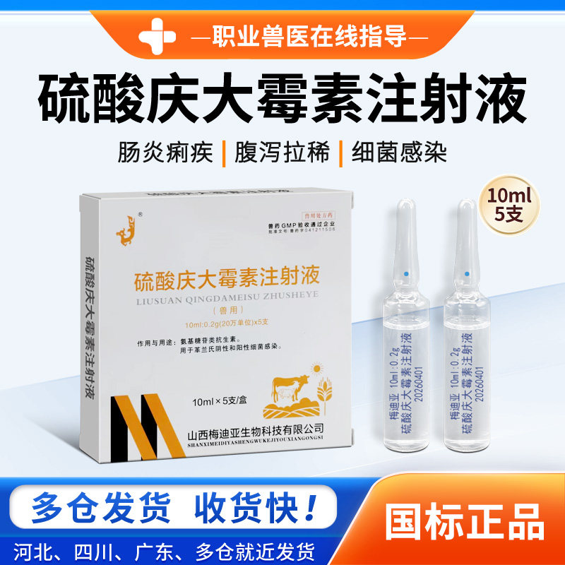 兽用硫酸庆大霉素注射液宠物专用细菌性肠炎细菌感染消炎兽用药