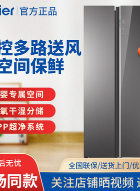 Haier/海尔BCD-625WLHSS19GSU1全空间保鲜双重净化对开门625L冰箱