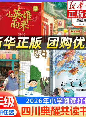 2026春四川典耀共读二年级阅读书目注音版 一起长大的玩具泥泥狗 神笔马良常读常新的童话集 愿望的实现 小英雄雨来 犀牛街5号xy