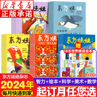 智力 大科学数学 2024年全年订阅东方娃娃杂志幼儿期刊绘本3 8岁幼儿园推荐 创意美术 东方娃娃非过期绘本幼儿大数学过刊 绘本