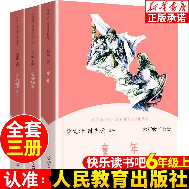 广东新华推荐童年六年级上必读课外书 人民教育出版社 六年级上下册快乐读书吧爱的教育小英雄雨来 爱丽丝鲁滨逊漂流记骑鹅旅行记