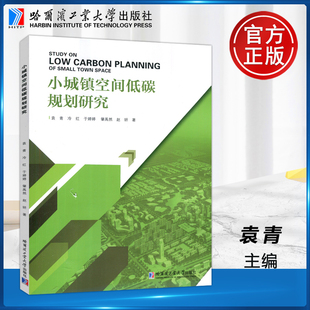 小城镇空间低碳规划研究 哈工大 袁青 冷红 社 现货 哈尔滨工业大学出版 包邮