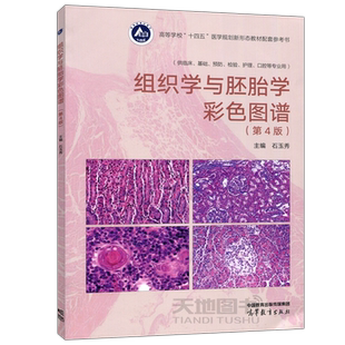 现货正版】组织学与胚胎学彩色图谱 第4版第四版 石玉秀 医药院校用书 高等教育出版社