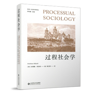 现货包邮 北师大 过程社会学 【美】安德鲁·阿伯特 周忆栗 历史社会科学译丛 北京师范大学出版社