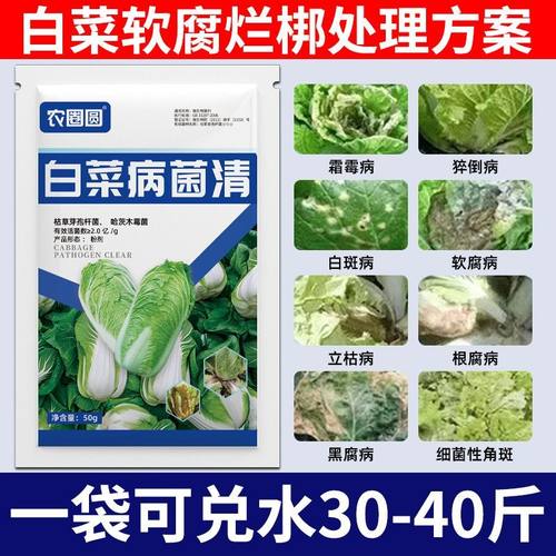 白菜病全治白菜专用药白菜微生物菌剂白菜病菌清杀菌霜霉软腐白粉