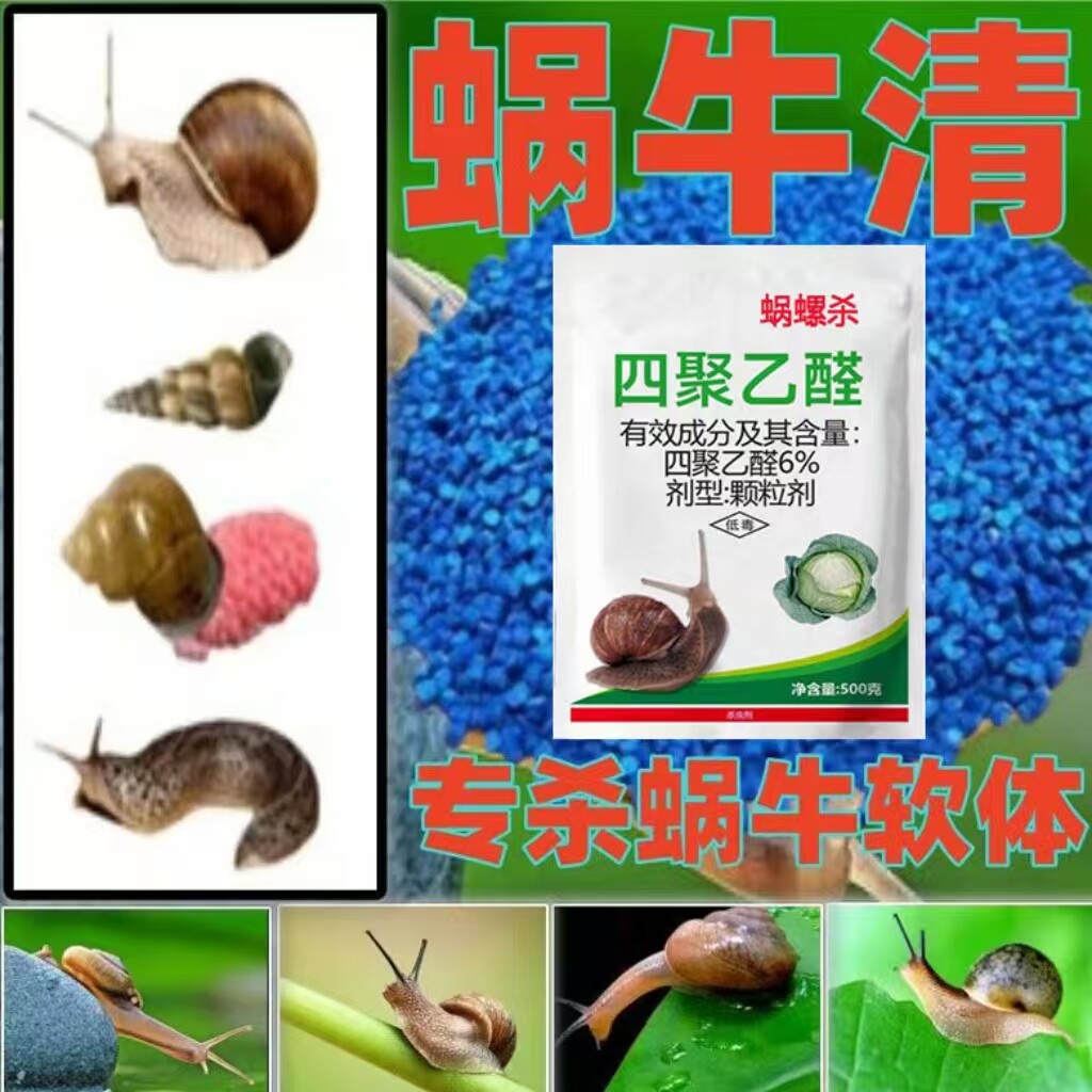 蜗牛药鼻涕虫福寿螺蛞蝓四聚乙醛撒施软体杀蜗牛专用药批发颗粒剂
