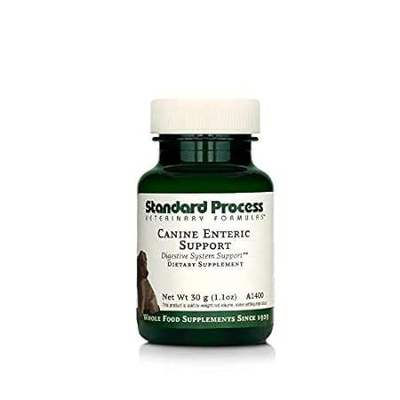 Standard Process - Canine Enteric Support - Digestive Sys
