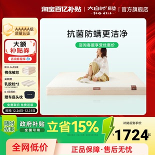 大自然5A级护脊山棕床垫多规格抑菌防螨硬垫主卧家用 森屿HT5