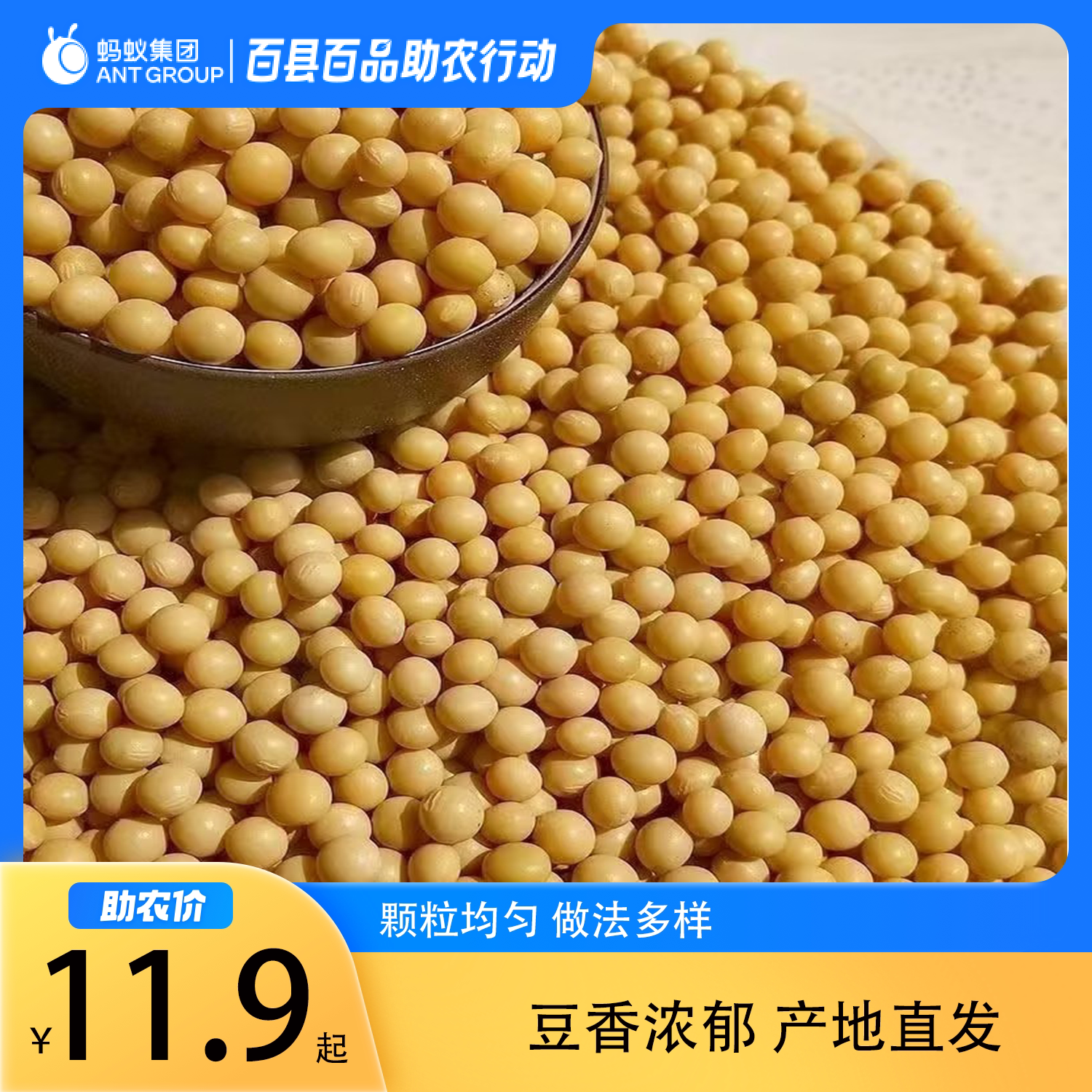 林西县黄豆550g/1袋