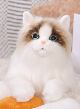 仿真猫咪玩偶布偶猫毛绒玩具