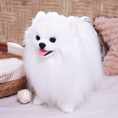 非遗胡赛尼克隆仿真博美犬狗狗动物玩偶高级感毛绒玩具生日礼物