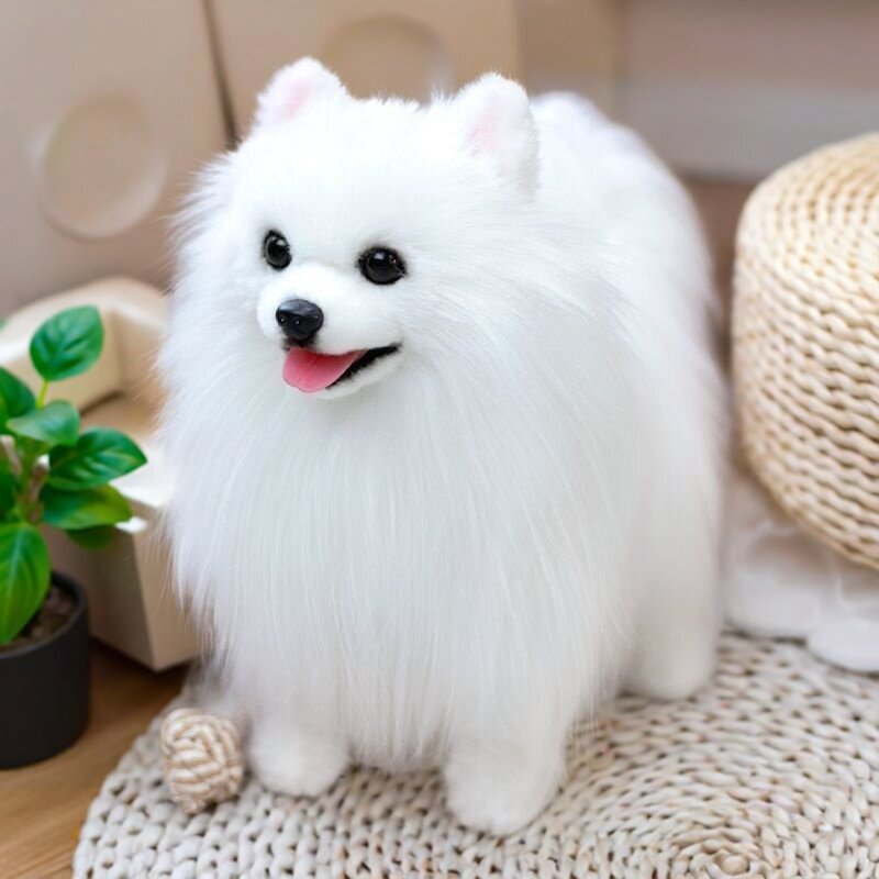 男女孩陪伴生日礼物凯特胡赛尼仿真白博美犬狗狗玩偶公仔毛绒玩具