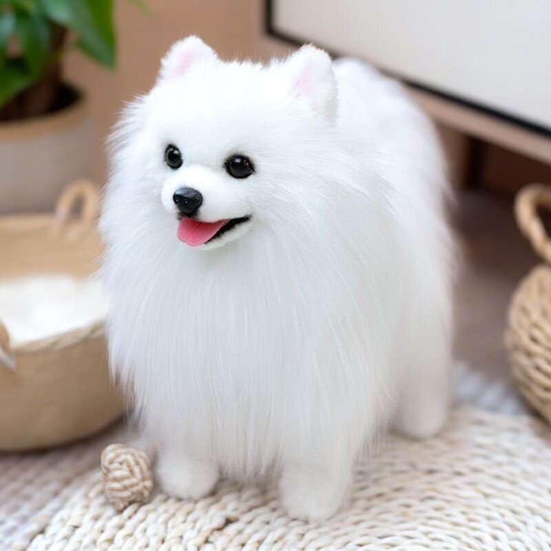 凯特胡赛尼仿真白博美犬狗狗玩偶男女孩陪伴生日礼物公仔毛绒玩具