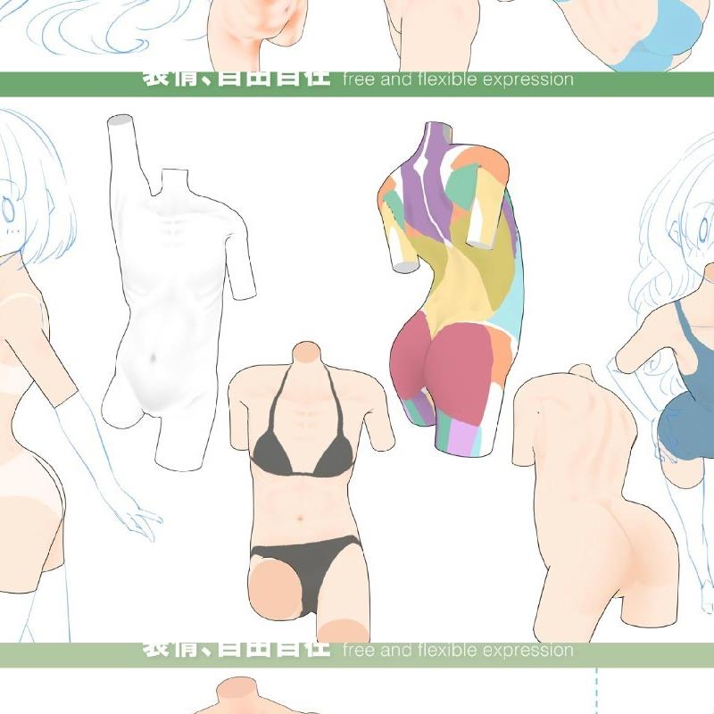 【csp】【模型】C34-C36半身人体模型 人物