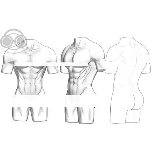 【csp模型】188cm男性3d绘画等十几种模型