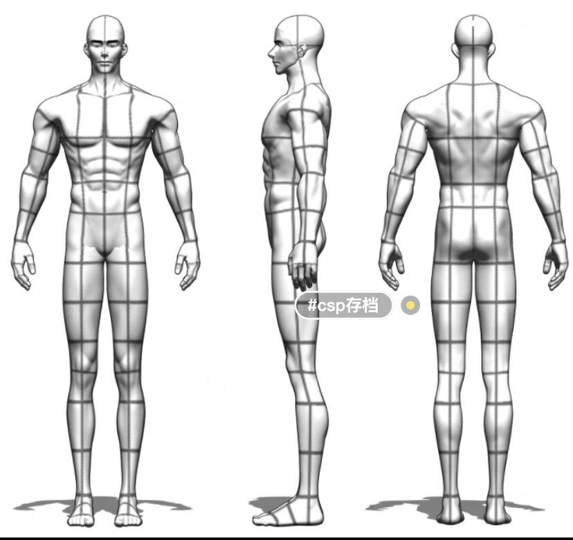 csp优动漫 运动男性体型 肌肉人模 可套动作 眼睛可动 带鞋
