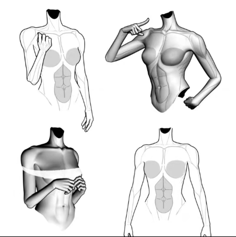 【csp3d 模型】绘画女性躯干 可以变换角度放大缩小 7种变换模式