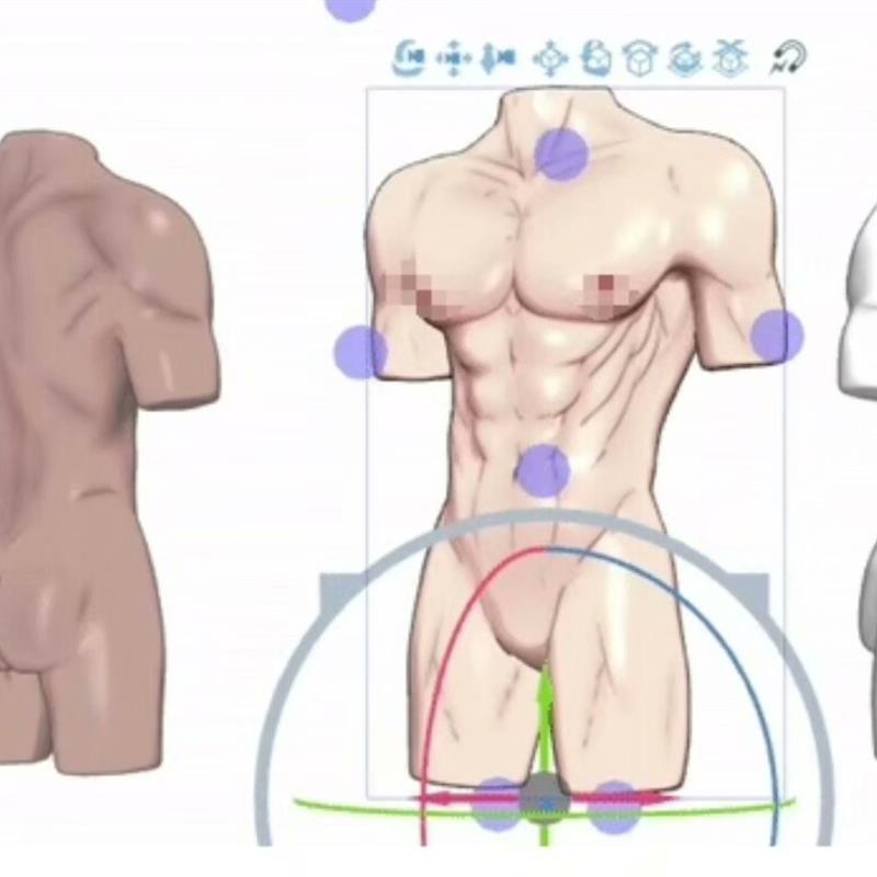 【csp3d】csp3d模型男体肌肉模型