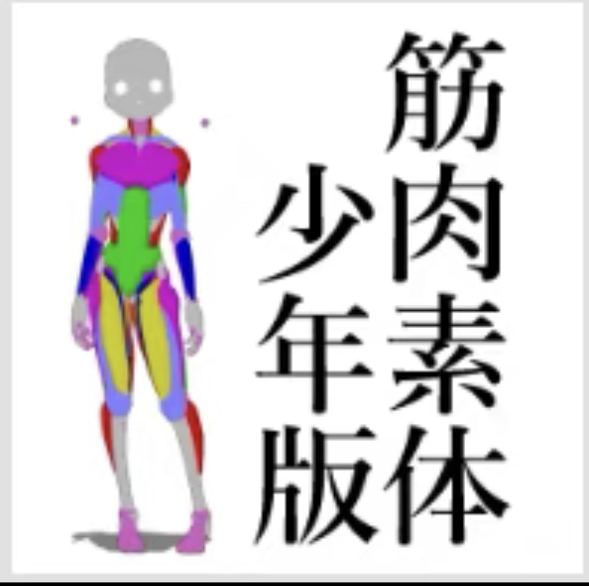 【CSP3d模型】素体3d模型  肌肉参考素体3d clip文件 绘画参考