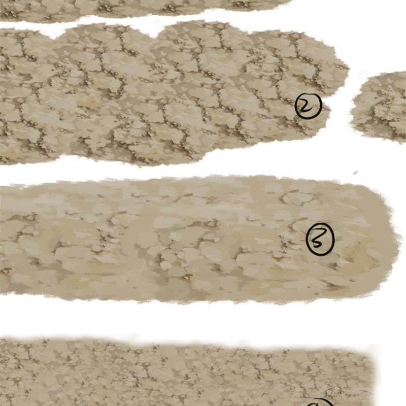 【csp笔刷】csp土地笔刷  csp笔刷