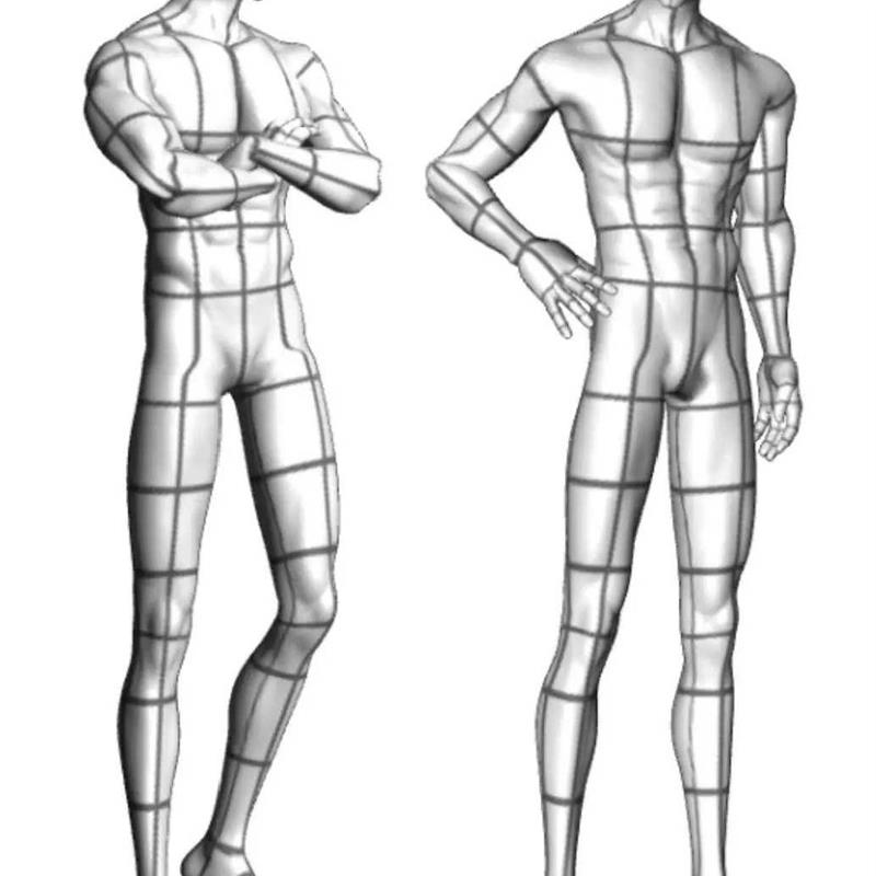【csp模型】188cm男性3d绘画等十几种模型