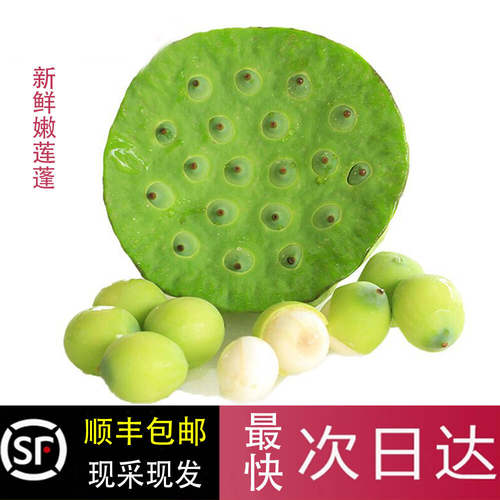 现摘太空生吃清甜加冰新鲜莲蓬