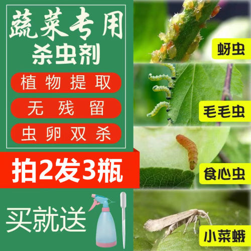 菜虫网11月11天质量怎么样 菜虫网11月11天口碑怎么样 小麦优选