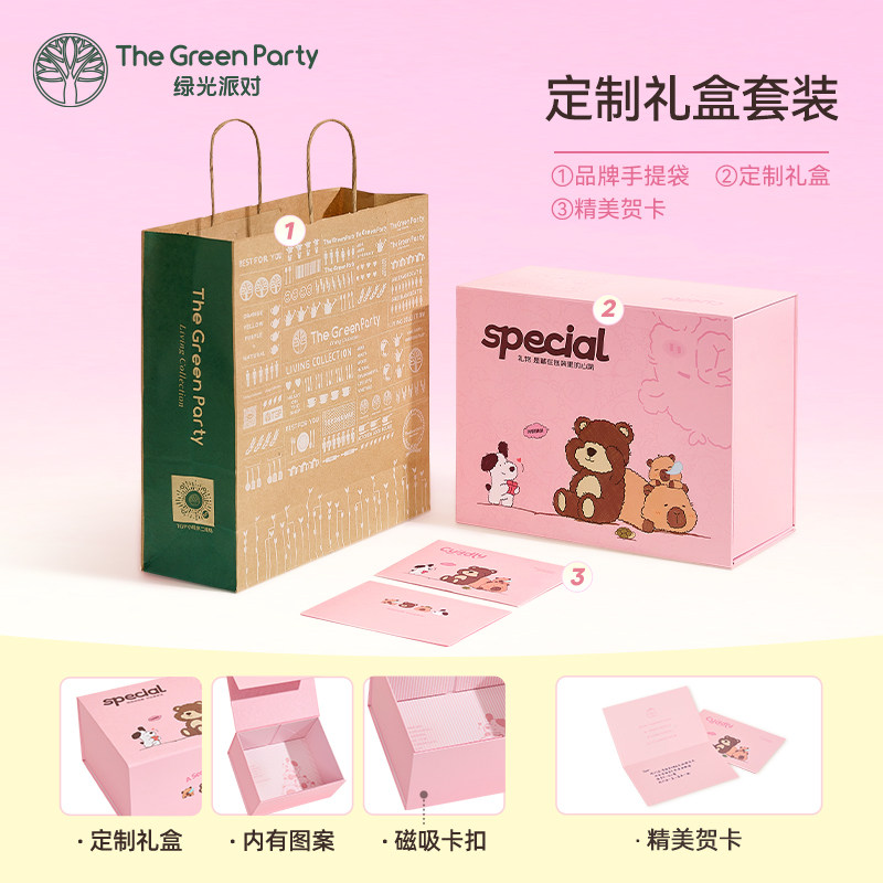 TheGreenParty毛绒公仔礼盒空盒包装组合套装情侣生日礼物送女友