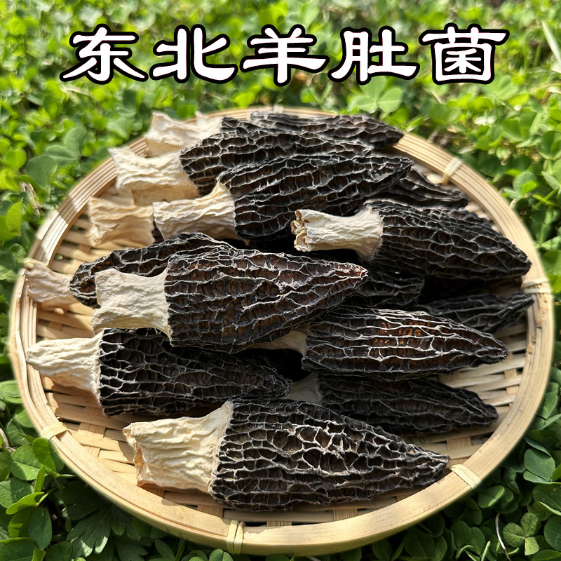 羊肚菌干货东北特产野生干蘑菇无硫头茬新货炖汤煲汤食材山珍礼盒