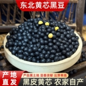 东北黄心黑豆小粒黑豆生豆芽专用黑豆泡醋老品种磨豆浆豆五谷杂粮