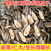 东北原味瓜子散装 向日葵葵花子大粒葵花籽大锅现炒皮薄酥脆香5斤