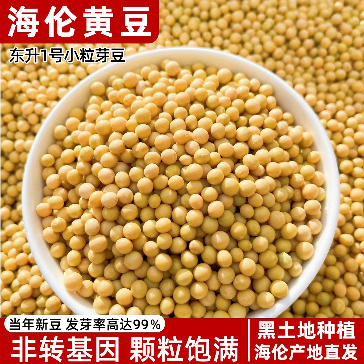 东升一号小粒黄豆非转基因东北黑龙江海伦黄豆生豆芽小黄豆磨豆浆