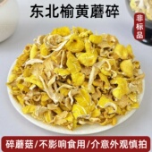 蘑菇碎 东北榆黄蘑菇干货黄金菇野生鸡油菌榆黄蘑煲菌汤包饺子