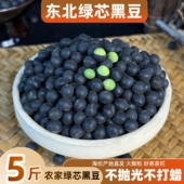 2025东北新绿心黑豆农家自产绿芯黑豆打豆浆生发豆芽五谷杂粮500g