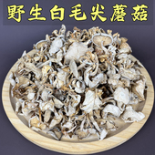 东北野生白毛尖蘑菇山珍土特产煲汤食用黄金蘑菇金子山蘑菇干货